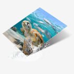 Square Metal Print
